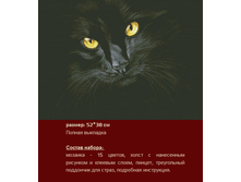 �-301 ������ ����� ������ (��) 52�38 ���� 1450 ���.png