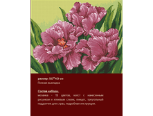 �-238 ���������� ������ (��) 50�40 ���� 1559 ���.png