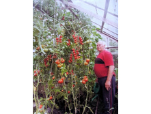 �������� ������.3.JPG