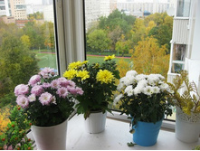 ���������� �� �������2.jpg