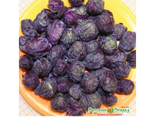 ������� ����������� �������� ���. ����