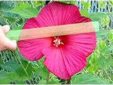 �������� ��. ����2. ����� ������ �� ���������.jpeg