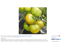 � ���� �������� ���� (+ 18 % ���. ����) = 11,8 ���. ����� �ݣ ������ 10% ����� � �������� (�.�. �������� ����� 10,60 ���.)