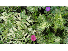 ������ ������������� ������� �� �����