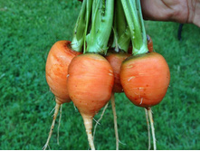 ������� �������� ������ 10,5 ���. (1 ��.) ����� �����������. ��� ��� � ���� ����� ���ԣ� �������, � ���� ��������� �����.jpg