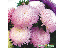 ����� ���� ����.jpeg