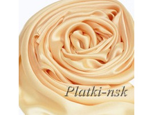 22-f8849.jpg