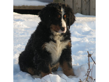 3 ������ 017.JPG