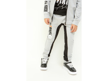 20110160136   Lion        (      ).jpg