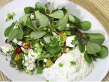 �������� �����.jpg