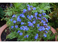 ������ ������������ ��������� ������ ���. ����2.jpg