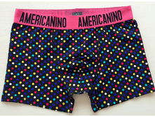 240 ��� AMER*CANINO