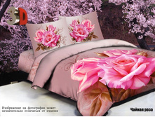 ������ ����.jpg