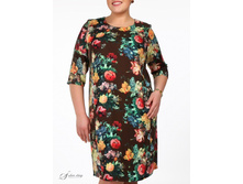 ������ 2605204-17.jpg