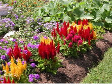 ������� ������, �����4.jpg