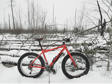 IMG 20180121 111527.jpg