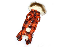 ���������� 'Lim-Strip' �����.jpg