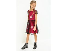 20210200214   Ida          .jpg