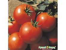 ����� ������ 11 ���. (0,2 ��.).jpeg