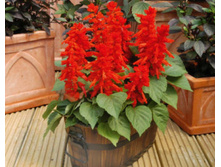 ������� ����� ���������� � �����.jpg