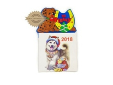 ������ ��������� ������ ���� � �������ң�