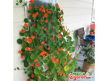 ��������� ����� ���������. �����.4.jpg