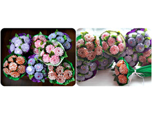 ����� ���� � ������������, 450 ���