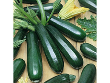 ������� ������ 10 ���. (1,5 ��.).jpg