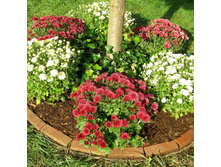 ���������� � ���� 7.jpg