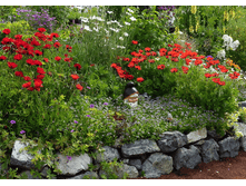 ��� ��������� � ����������2.png