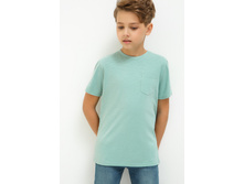 20110110088   Raccoon         -       .jpg