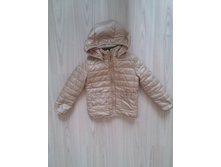 ���� ����� �.110