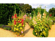 ������ ����������� ����� �����4.jpg