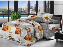 ������ ������ (70006).jpg