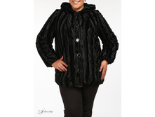 ������ 2620346-02.jpg