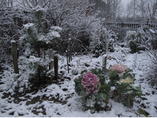 ������� ������������ �������� ��� � � ���������.jpg