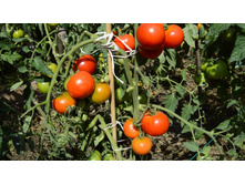 ����� ������ ���. ����2.jpg