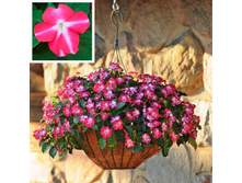 ��������� ������� ���������5.jpg