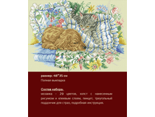 �-323 ������ ������ ������ (��) 48�35 ���� 1264 ���.png