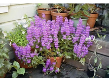 ��������� �������2.jpg