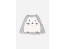 22250100010        .jpg