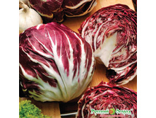 ����� �������� ���� ����� 9,10 ���. (0,5 ��.).jpeg