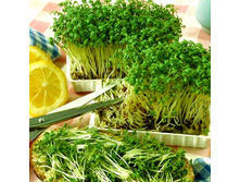 ����������� ���. ����4.jpg