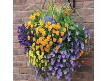 ����� ��������� �������� ������� � ����������2.jpg