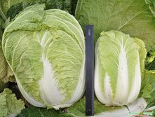 ������� ��������� ������� ������ � ���������.jpeg