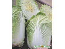 ������� ��������� �������� ��������� 16,8 ���. (30 ��.).jpeg