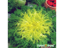 ����� ������� ������� 9,1 ���. (0,5 ��).jpeg