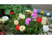 �������� ����� ��������, �����3.jpg