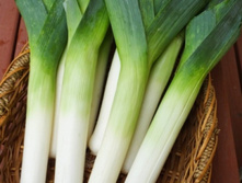 ��� ����� ������������ 10 ���. (1 ��.).jpg