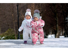 ���. ����